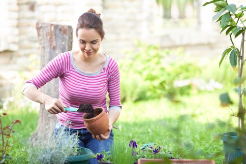 A young woman with dark hair tied back, wearing a pink and white striped top, is working in a garden in Raynes Park. She is tending to potted plants, holding a terracotta pot in one hand and a gardening trowel in the other, with soil visible on the trowel. The garden features a lush, well-maintained lawn with dense, green grass in the foreground. Behind her, there are various garden plants, including flowering purple plants in a container and broad-leafed bushes. The background shows a wooden fence and a tree trunk, with additional greenery and a softly blurred atmosphere suggesting a sunny day with natural light. The scene reflects outdoor maintenance and gardening activities typical of a suburban garden in south-west London, supporting local garden care services like Gardening Services Raynes Park.