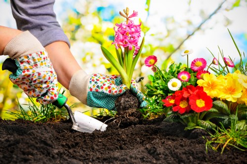 A person wearing multicoloured gardening gloves is shown planting a pink hyacinth bulb into freshly turned, dark soil in a garden. The surrounding garden bed features a vibrant mix of flowering plants including yellow, red, white, and pink blooms, with some daisies and primroses visible. The background includes blurred greenery and trees, indicating a sunny outdoor environment. The garden appears well-maintained with a variety of plant textures and colours, creating a lively and inviting outdoor space, typical of a well-kept front or back garden in Raynes Park. This scene reflects professional gardening activities carried out by Gardening Services Raynes Park, emphasizing soil preparation and planting in a landscaped garden setting.